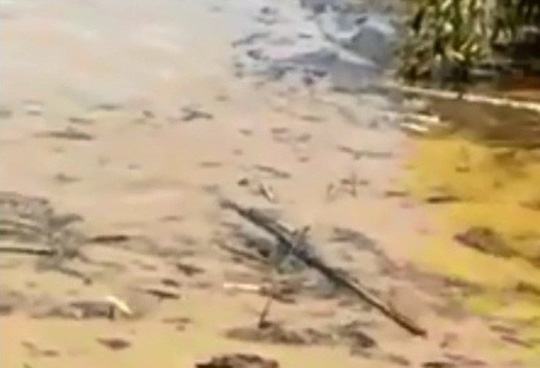 Phát hiện 2 người đàn ông cùng chết trôi trên sông