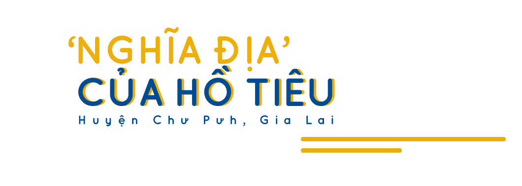 Mảnh ghép xã hội nhìn từ con đường đến trường