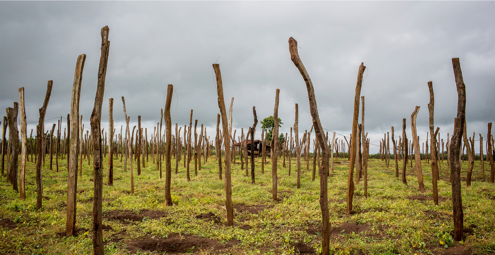 Mảnh ghép xã hội nhìn từ con đường đến trường