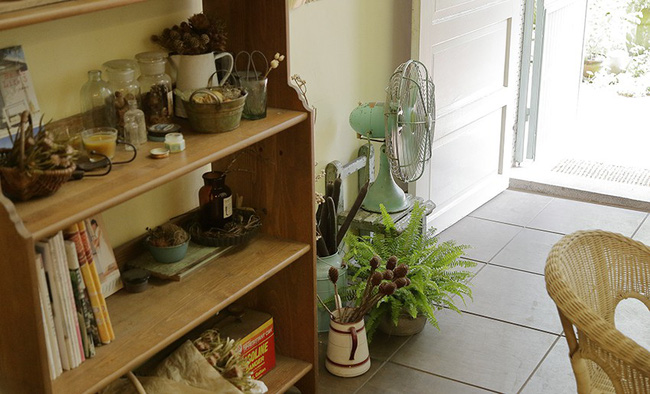 Cô gái trẻ tự tay cải tạo không gian cũ kỹ thành ngôi nhà vườn đẹp lãng mạn với cây xanh