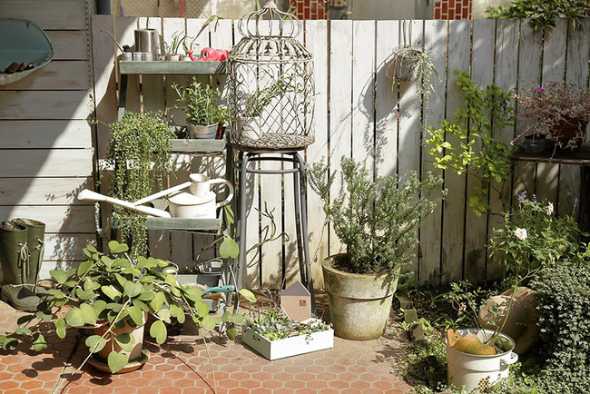 Cô gái trẻ tự tay cải tạo không gian cũ kỹ thành ngôi nhà vườn đẹp lãng mạn với cây xanh