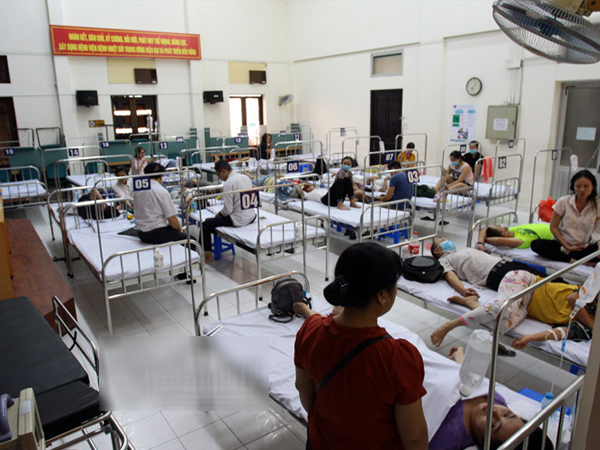 Chủ quan, nhiều người nhập viện vì sốt xuất huyết