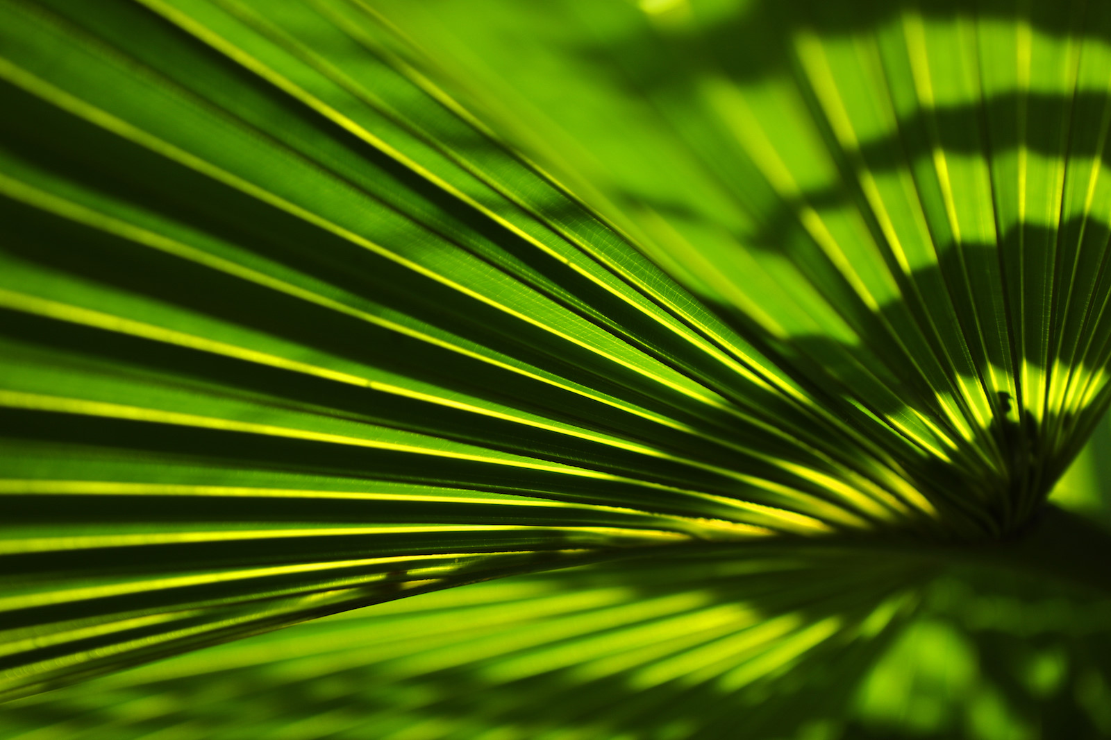 Những khoảnh khắc mùa thu Hà Nội lay động lòng người