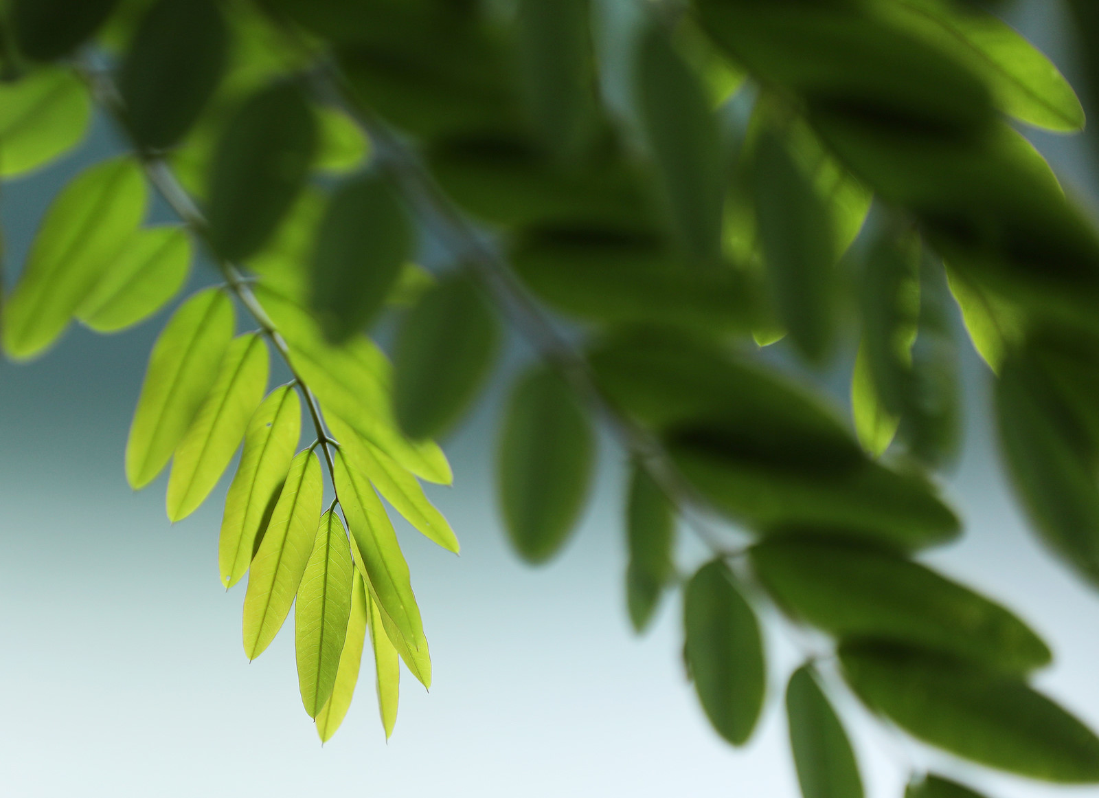 Những khoảnh khắc mùa thu Hà Nội lay động lòng người