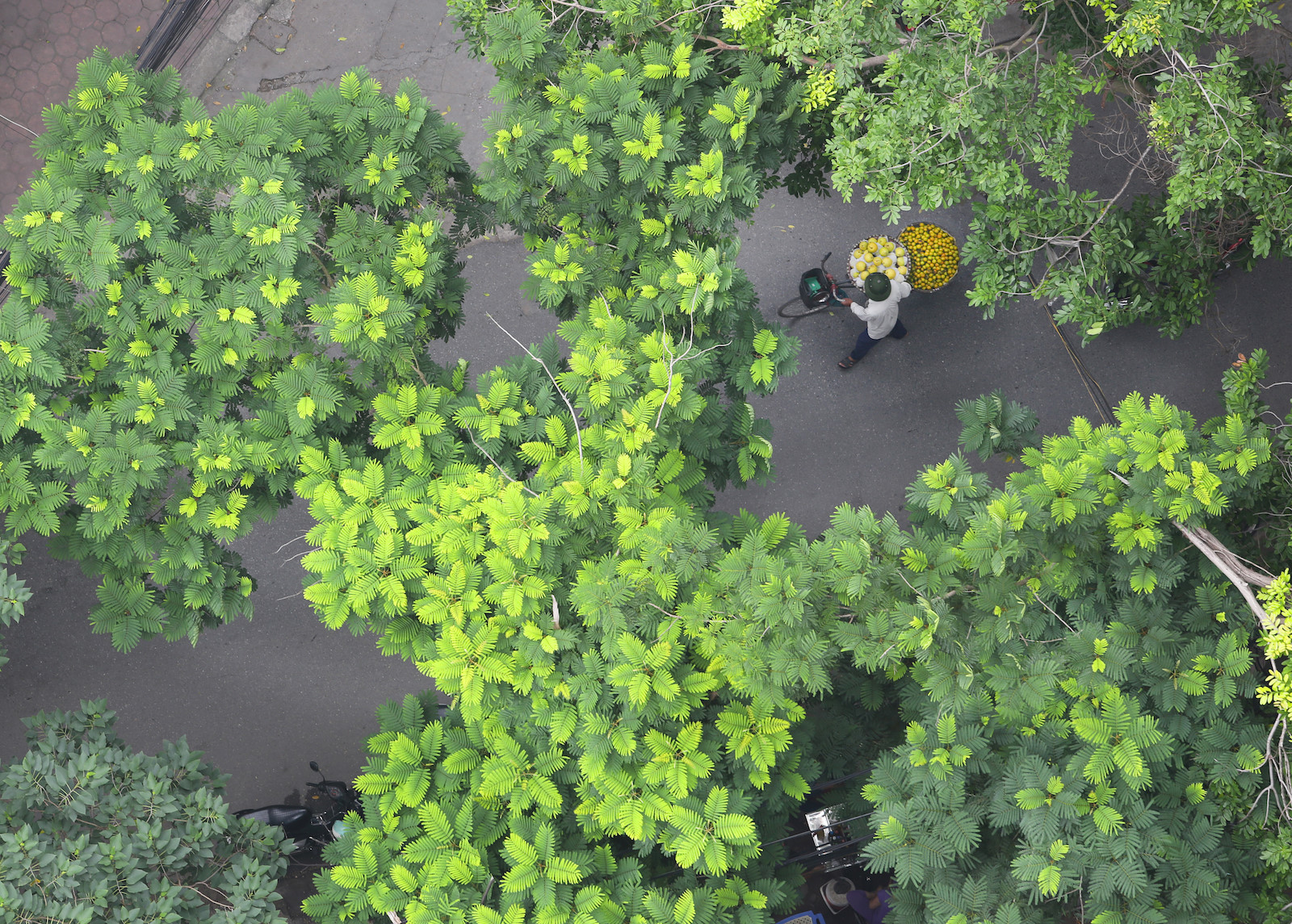 Những khoảnh khắc mùa thu Hà Nội lay động lòng người