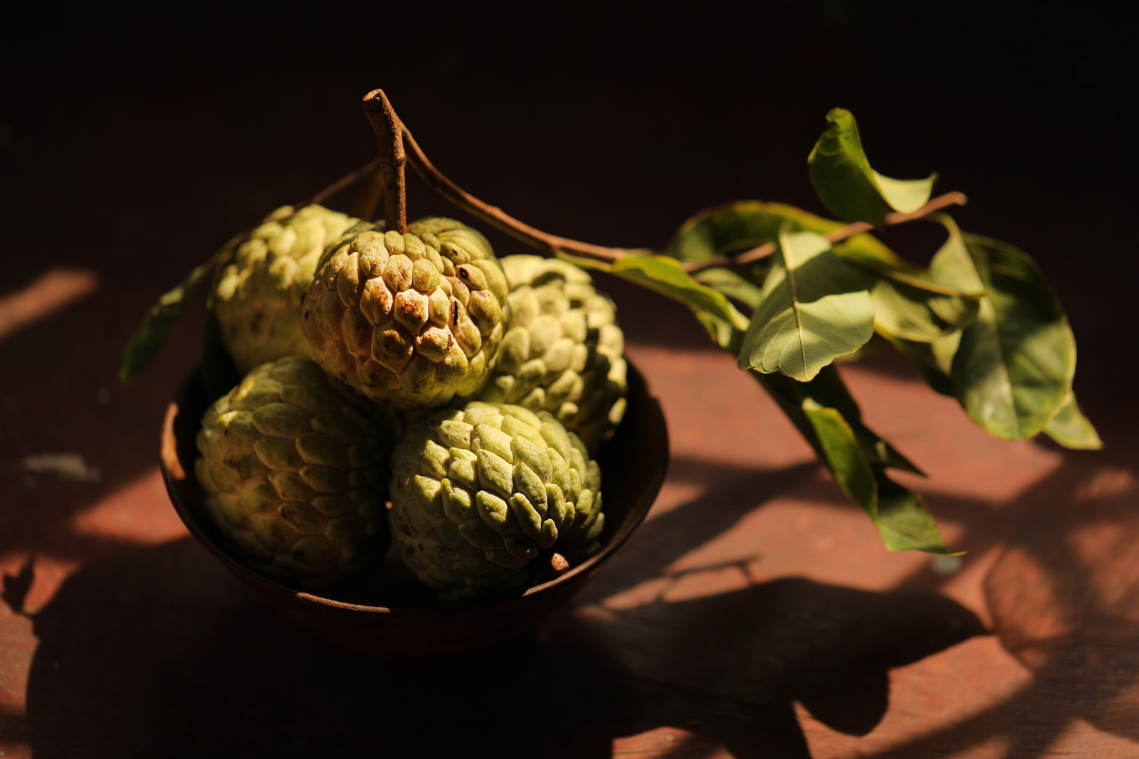 Những khoảnh khắc mùa thu Hà Nội lay động lòng người