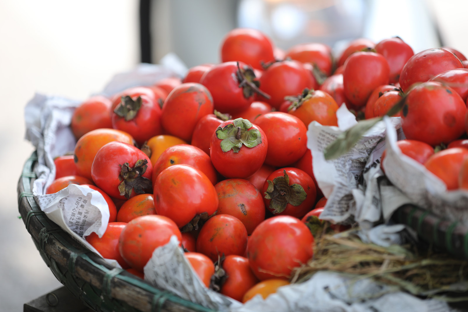 Những khoảnh khắc mùa thu Hà Nội lay động lòng người