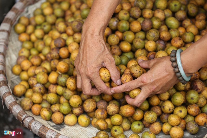 Những khoảnh khắc mùa thu Hà Nội lay động lòng người