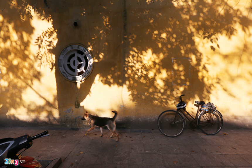 Những khoảnh khắc mùa thu Hà Nội lay động lòng người