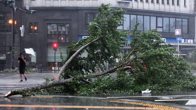 Hình ảnh: Nhật Bản hoang tàn, đổ nát sau liên tiếp siêu bão Jebi và động đất 6 độ Richter ở Hokkaido