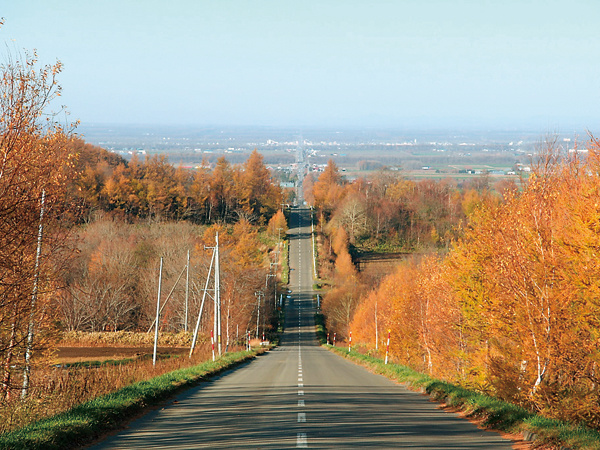 Xa lộ thẳng tắp được ví như đường đến thiên đàng ở Nhật