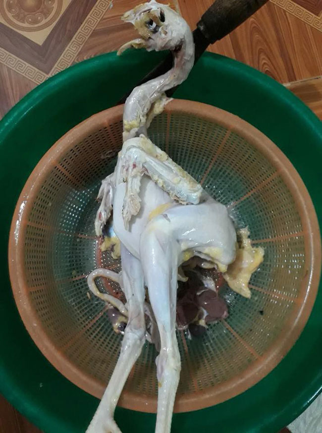 Đến ra mắt nhà vợ tương lai, chàng con rể tinh tế làm gà thế này, dân mạng còn trêu: Đùi trắng hơn các chị!