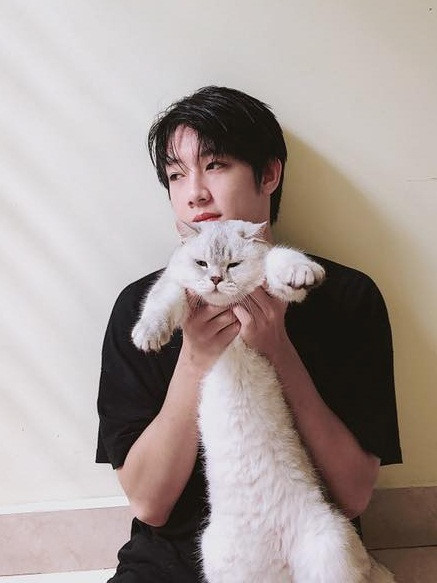 Khoe ảnh chụp với mèo, 9X Hải Phòng được khen đáng yêu hơn boss