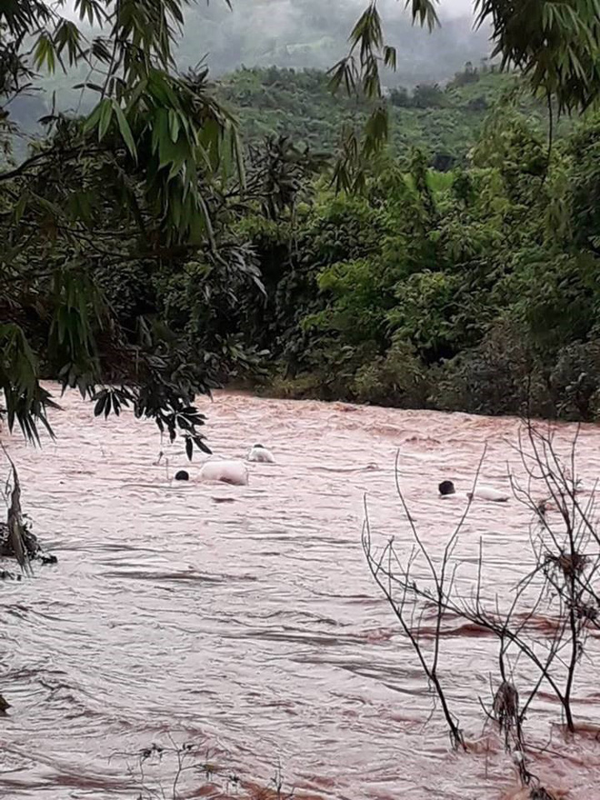 Nặng lòng tâm sự của thầy giáo 30 năm cắm bản, nơi học sinh chui nilon vượt suối đến trường