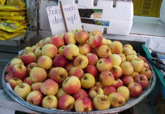 Táo mini Trung Quốc đội lốt táo mèo Hà Giang