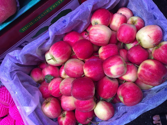 Táo mini Trung Quốc đội lốt táo mèo Hà Giang