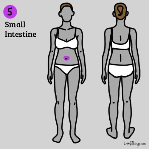 Phụ nữ nếu thấy đau ở 9 vị trí này tuyệt đối không được xem thường