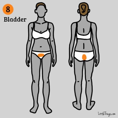 Phụ nữ nếu thấy đau ở 9 vị trí này tuyệt đối không được xem thường