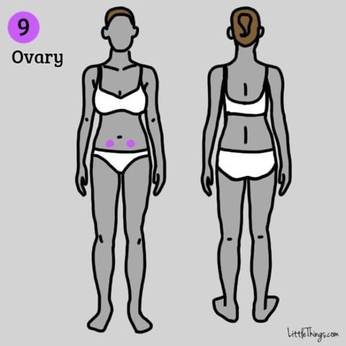 Phụ nữ nếu thấy đau ở 9 vị trí này tuyệt đối không được xem thường