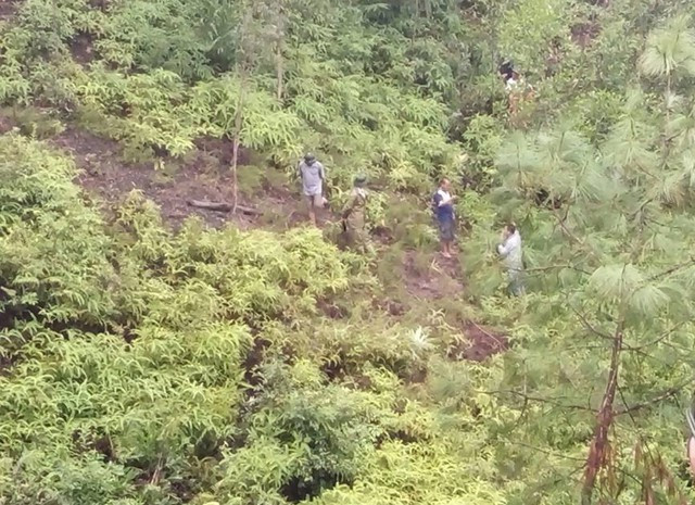 Gần 100 người tìm kiếm cụ bà 90 tuổi mất tích