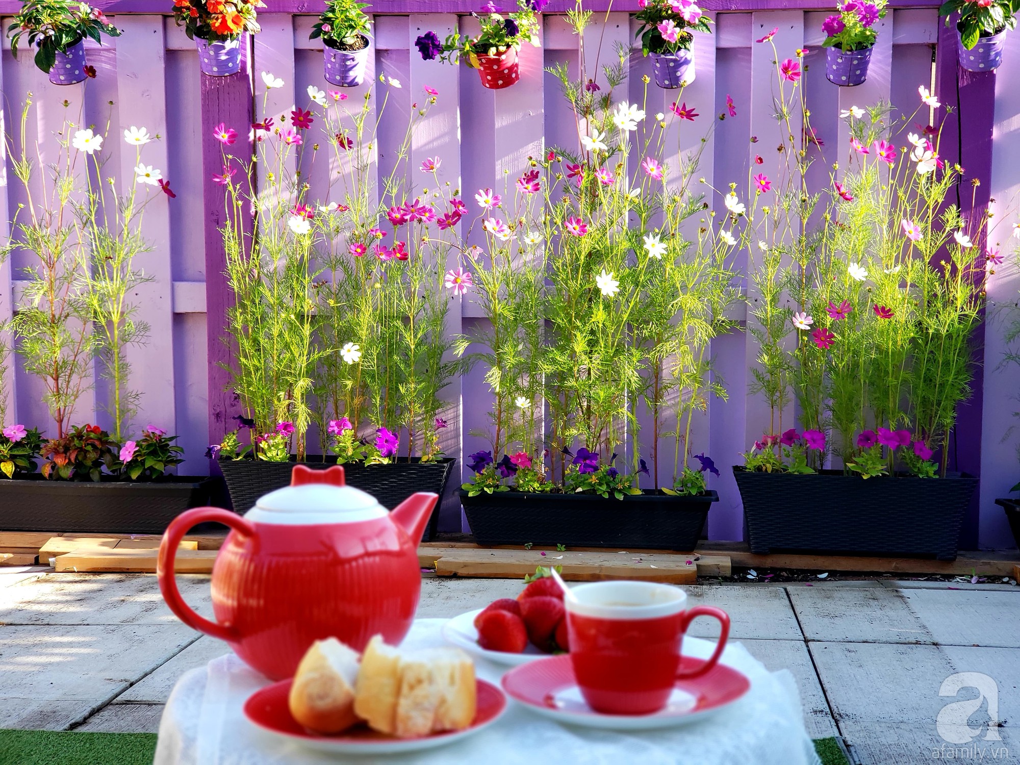 Góc sân vườn chỉ vỏn vẹn 5m² nhưng người phụ nữ quê Đà Lạt đã biến thành nơi thư giãn đẹp bất ngờ