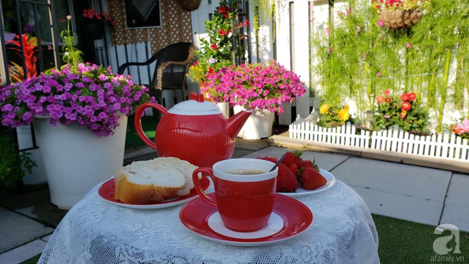 Góc sân vườn chỉ vỏn vẹn 5m² nhưng người phụ nữ quê Đà Lạt đã biến thành nơi thư giãn đẹp bất ngờ