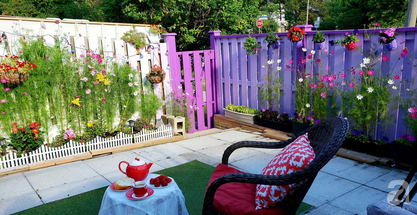 Góc sân vườn chỉ vỏn vẹn 5m² nhưng người phụ nữ quê Đà Lạt đã biến thành nơi thư giãn đẹp bất ngờ