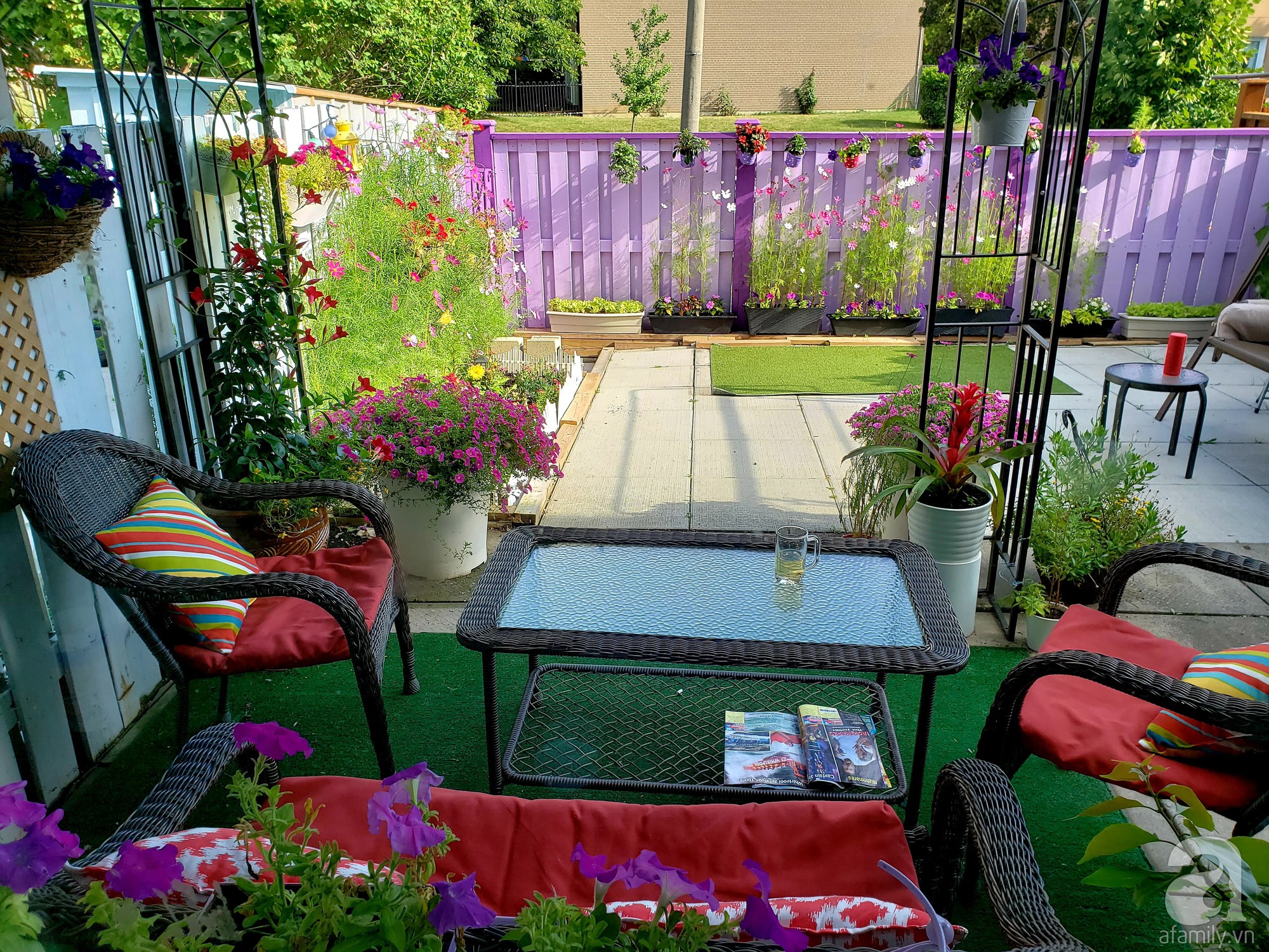 Góc sân vườn chỉ vỏn vẹn 5m² nhưng người phụ nữ quê Đà Lạt đã biến thành nơi thư giãn đẹp bất ngờ