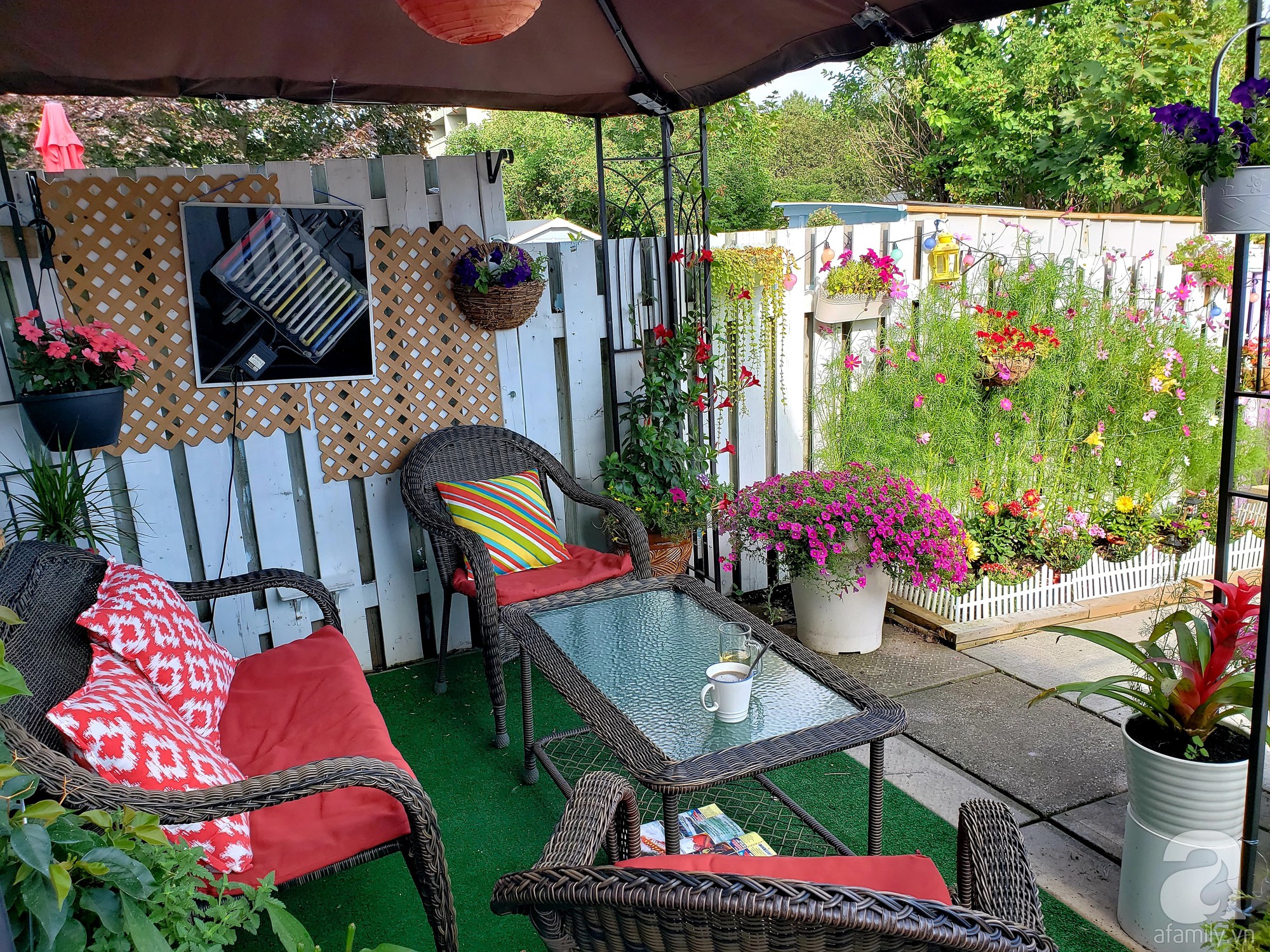 Góc sân vườn chỉ vỏn vẹn 5m² nhưng người phụ nữ quê Đà Lạt đã biến thành nơi thư giãn đẹp bất ngờ