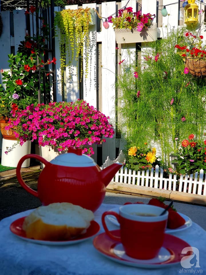 Góc sân vườn chỉ vỏn vẹn 5m² nhưng người phụ nữ quê Đà Lạt đã biến thành nơi thư giãn đẹp bất ngờ