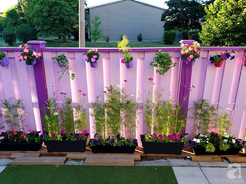 Góc sân vườn chỉ vỏn vẹn 5m² nhưng người phụ nữ quê Đà Lạt đã biến thành nơi thư giãn đẹp bất ngờ