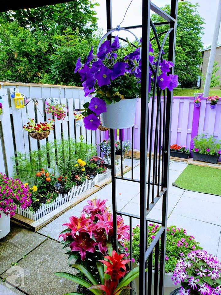 Góc sân vườn chỉ vỏn vẹn 5m² nhưng người phụ nữ quê Đà Lạt đã biến thành nơi thư giãn đẹp bất ngờ