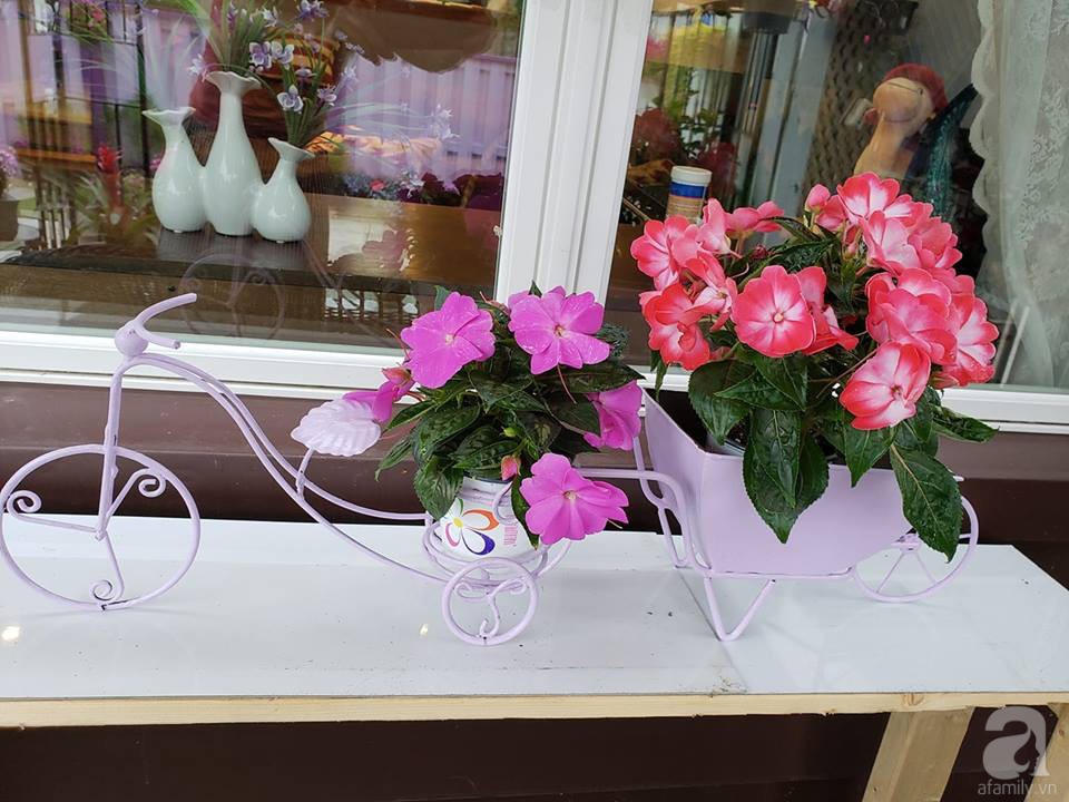 Góc sân vườn chỉ vỏn vẹn 5m² nhưng người phụ nữ quê Đà Lạt đã biến thành nơi thư giãn đẹp bất ngờ