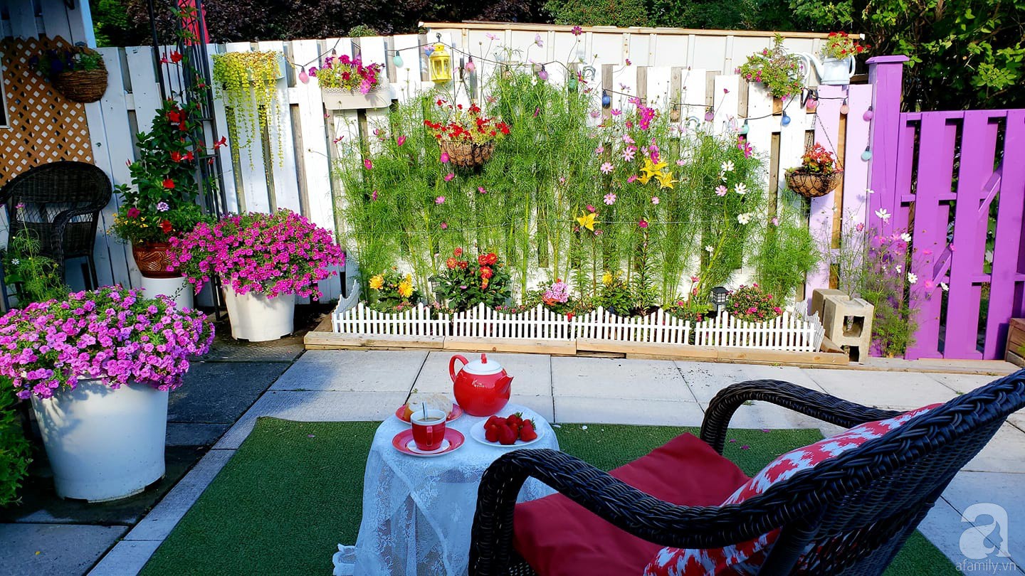 Góc sân vườn chỉ vỏn vẹn 5m² nhưng người phụ nữ quê Đà Lạt đã biến thành nơi thư giãn đẹp bất ngờ