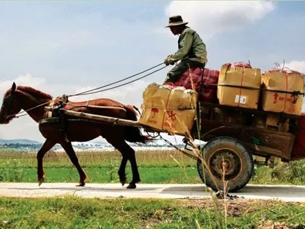 10 câu chuyện ngắn cho thấy vì sao bạn mãi vẫn nghèo