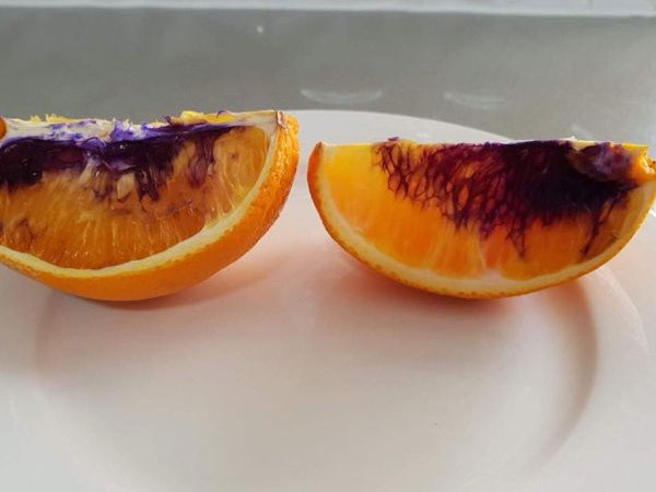Miếng cam vàng óng ả bỗng hóa màu tím chỉ sau một đêm, và giới khoa học không hiểu tại sao