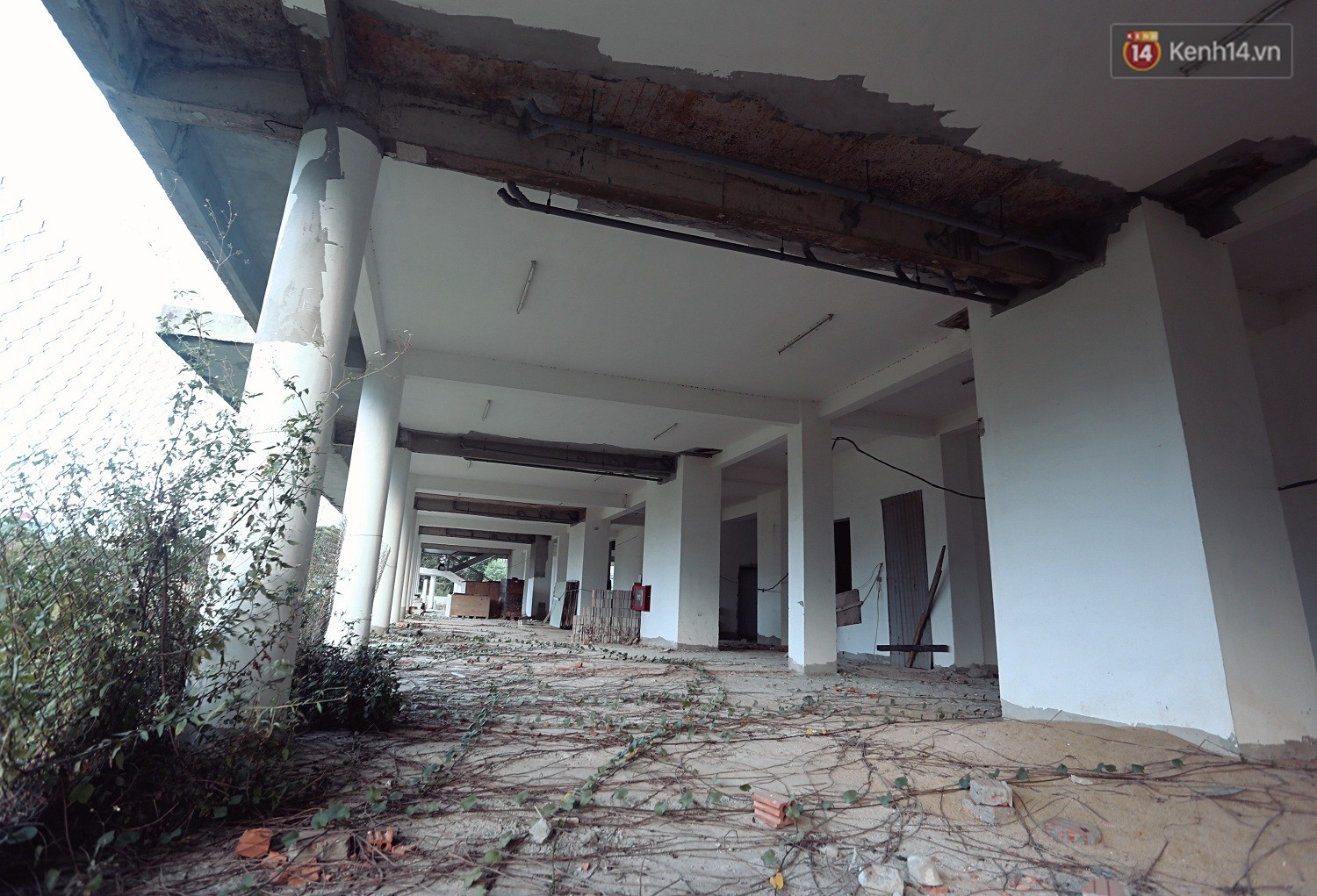 Bên trong ký túc xá từng được huy động vốn 700 tỷ đồng nhưng bỏ hoang ở Đà Nẵng suốt nhiều năm