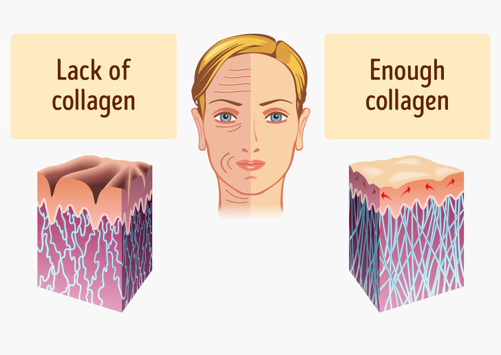 10 thực phẩm giàu collagen giúp làm chậm quá trình lão hóa
