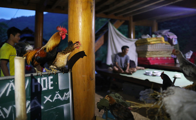 Thuỷ điện xả lũ làm trôi nhà, dân phải ở tạm lều lán