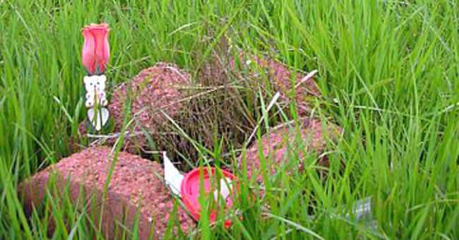 Vụ cuồng ghen chấn động của nhóm ác nữ tuổi teen: Bắt cóc, tra tấn tình địch và 2 lần châm xăng thiêu sống nạn nhân không chút ăn năn