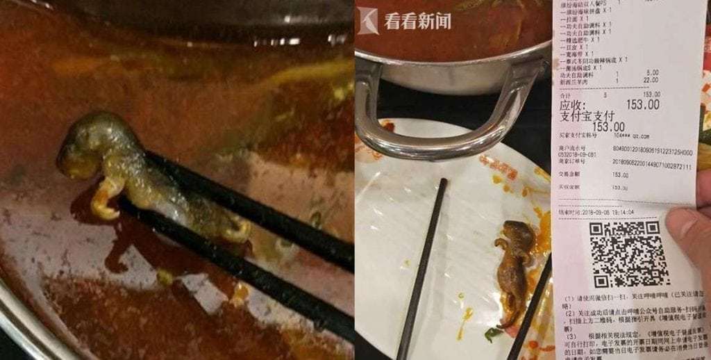 Bà bầu phát hiện chuột trong nồi lẩu, chủ quán hồn nhiên hứa bồi thường tiền... phá thai