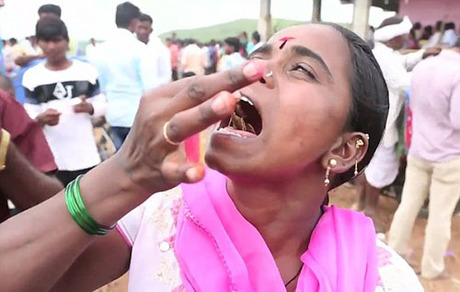 Lễ hội cho bò cạp có độc bò lên cơ thể người