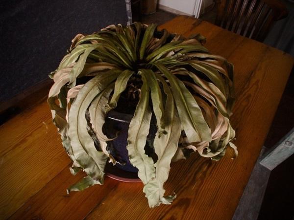 8 sai lầm phong thủy tai hại khiến bạn mãi không giàu, cái đầu tiên hầu như ai cũng mắc!