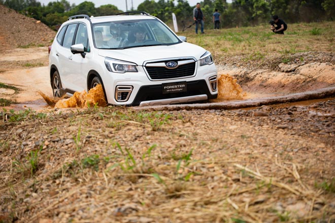 Cận cảnh Subaru Forester 2019: Đối thủ của Honda CR-V và Mazda CX-5