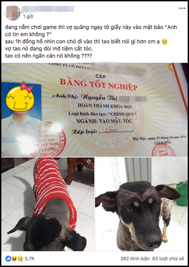 Chồng khoe ảnh vợ tạo mẫu tóc cho cún cưng sau khi có bằng nghề, dân tình gục ngã ngay từ cái nhìn đầu tiên