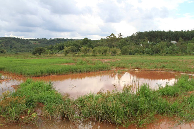 Nước rửa quặng của Nhà máy Alumin Nhân Cơ tràn ra suối
