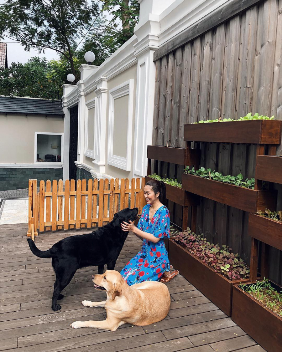 Dân tình được phen đã mắt vì lâu lắm rồi mới thấy Tăng Thanh Hà diện đồ menswear chất đến thế