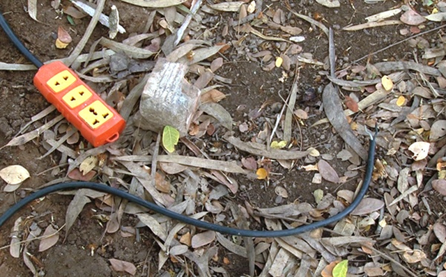 Bắc Giang: Phát hiện mẹ tử vong tại ruộng lúa gần nhà