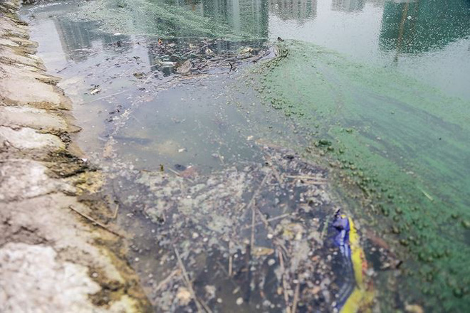 Công viên 300 tỷ chính thức hoạt động sau 2 năm đắp chiếu