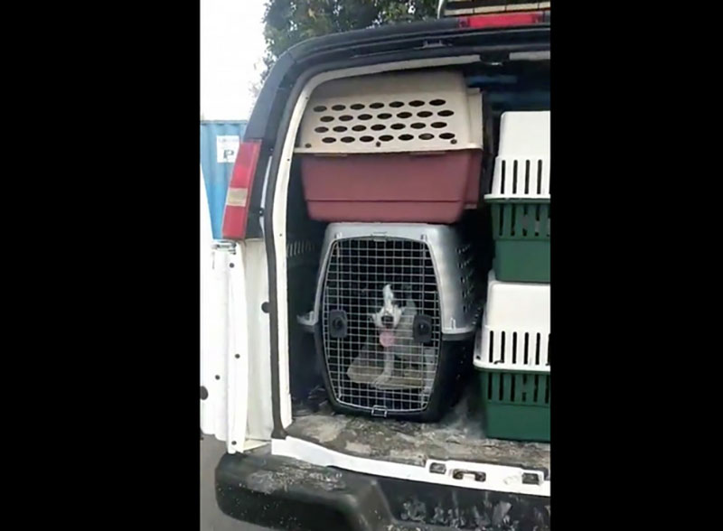 Lo siêu bão quái vật, dân Mỹ giằng chống nhà cửa, trữ lương thực và rồng rắn sơ tán